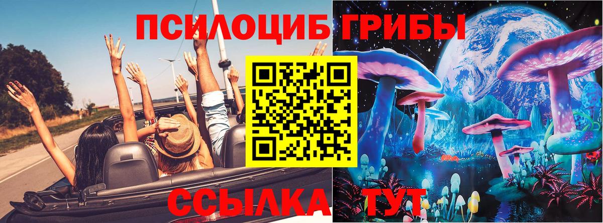 Псилоцибиновые грибы ЛСД Сафоново