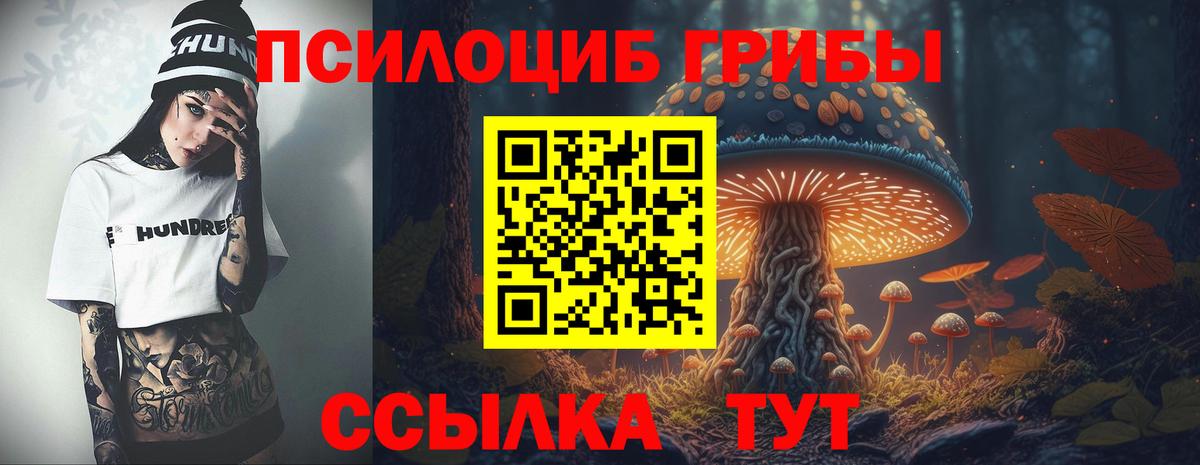 Галлюциногенные грибы ЛСД  Вход с VPN  хочу   Сафоново 